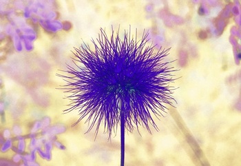 F 064B